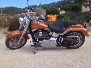 Sacoches Myleatherbikes Softail Fatboy (46)